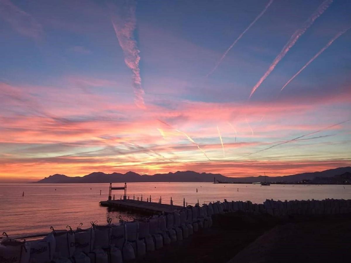 Le Piree T2 Palm Beach Place De L Etang * Cannes